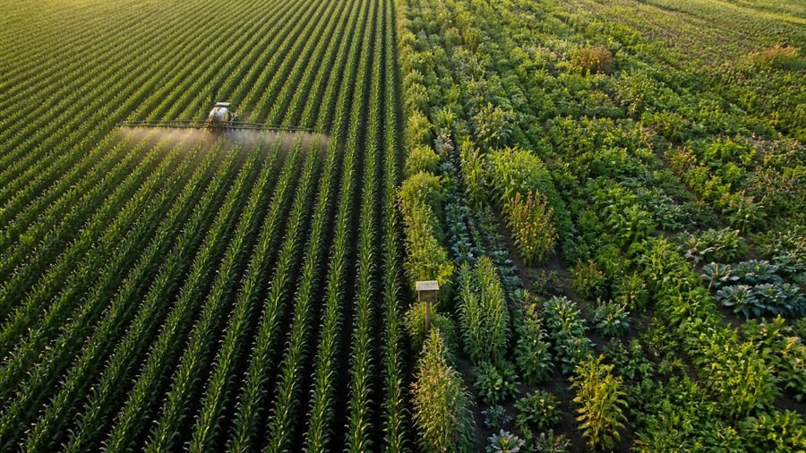 ENTRETIEN. « C’est la norme depuis des décennies » : peut-on se passer des pesticides en agriculture ?