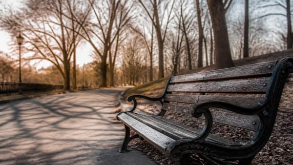 La solitude nuit gravement à la santé physique et mentale. Décryptage des mécanismes biologiques et des solutions con…