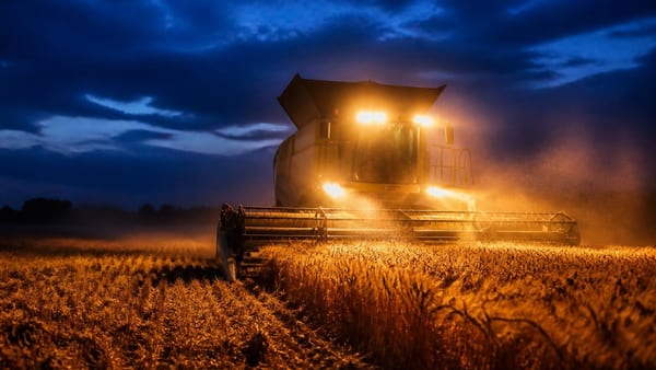 Face aux vagues de chaleur extrême, les agriculteurs réorganisent leurs journées et déplacent les récoltes vers les h…