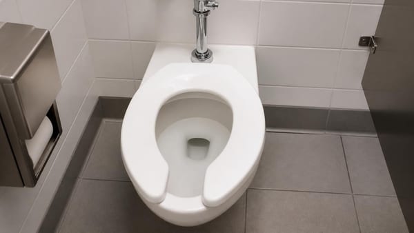 Cette découpe frontale caractéristique répond à des normes d'hygiène strictes et facilite l'entretien des sanitaires …